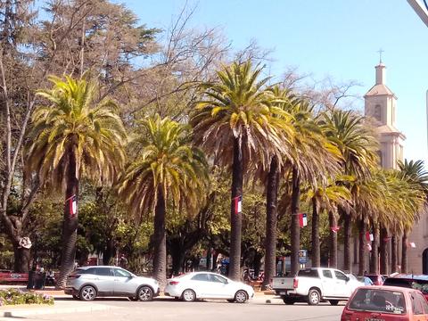 Curicó